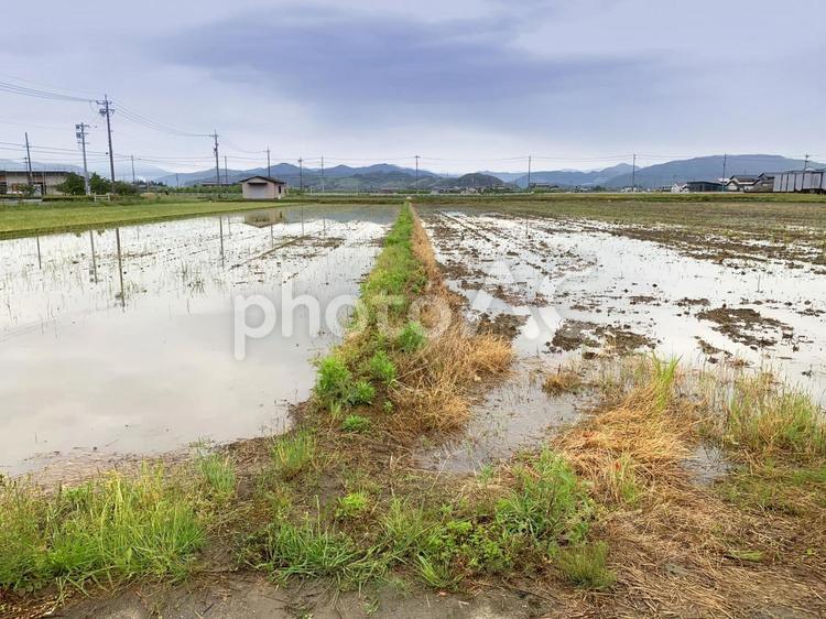 田植え前の田んぼ 田んぼ,空,水の写真素材