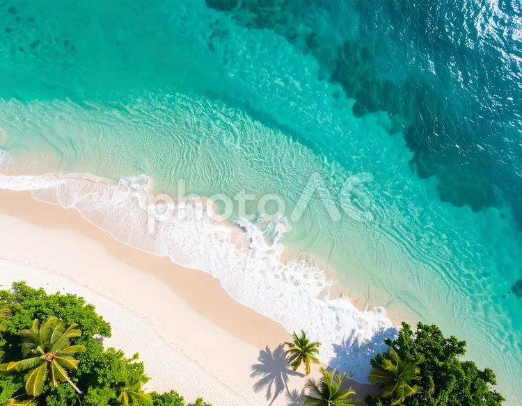 エメラルドグリーンの海と白い砂浜 海,ビーチ,白浜の写真素材