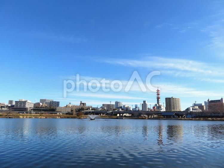 千波湖から水戸市街を望む 千波湖,水戸市街地,水戸市の写真素材