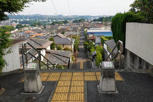 散歩の途中で5 散歩の途中で5の写真