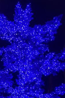 イルミネーション　青 イルミネーション,青,電飾の写真素材