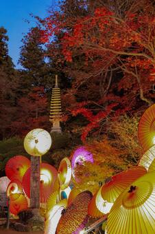 岡寺 岡寺,紅葉,十三重塔の写真素材