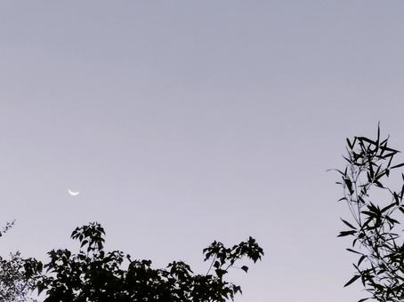 明け方の下弦の月 10月 明け方の下弦の月 10月 下弦の月,明け方,月の写真素材