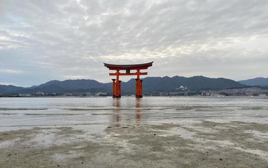 広島 宮島 嚴島神社 干潮 曇り 厳島神社,宮島,広島の写真素材