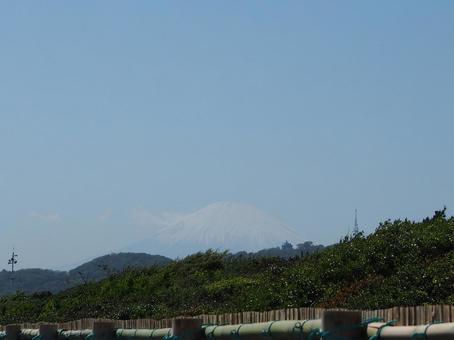 富士山 富士山の写真