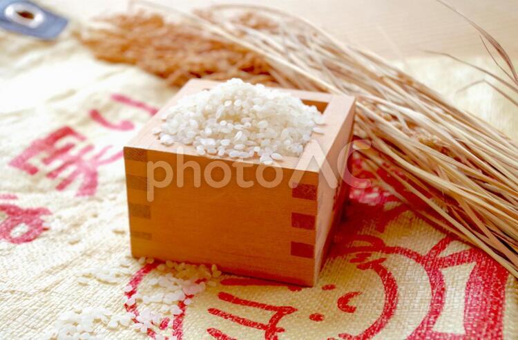 米袋とイネ２ 米,ご飯,黄色の写真素材