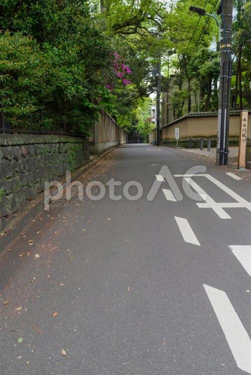 赤坂6丁目の街の風景 赤坂,6丁目,街並の写真素材
