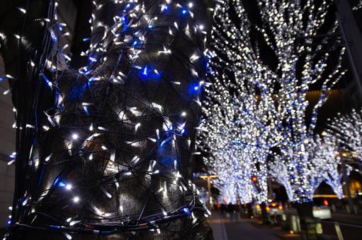 六本木けやき坂通りのイルミネーション 六本木,クリスマス,イルミネーションの写真素材