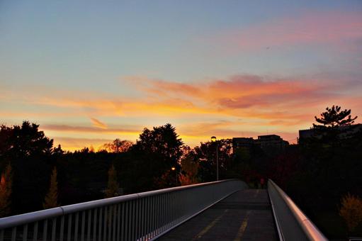 秋のたそがれの歩道橋にて 歩道橋,陸橋,桃山公園の写真素材