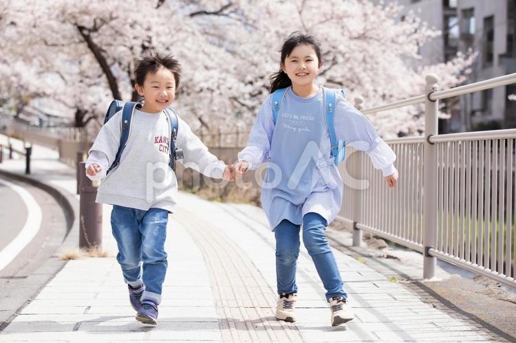 手を繋いで歩く小学生 ランドセル,一年生,入学の写真素材