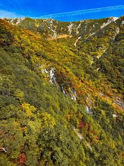 紅葉と山 紅葉,山,写真の写真素材