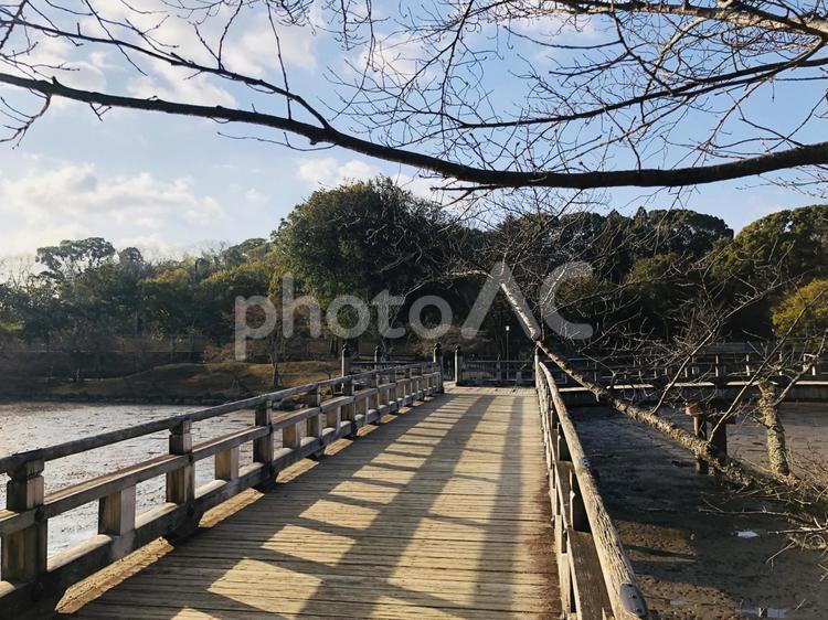 朝日が差し込む木の橋 橋,池,湖の写真素材