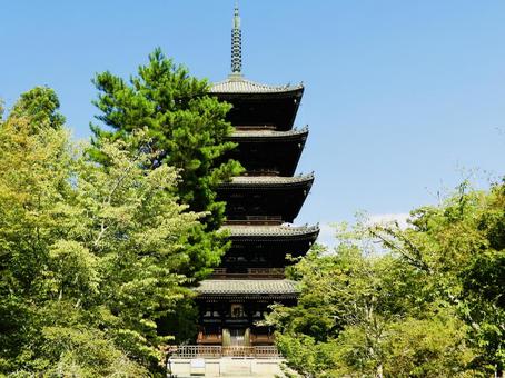 御室仁和寺五重塔2 御室仁和寺五重塔2 仁和寺,御室仁和寺,御室の写真素材