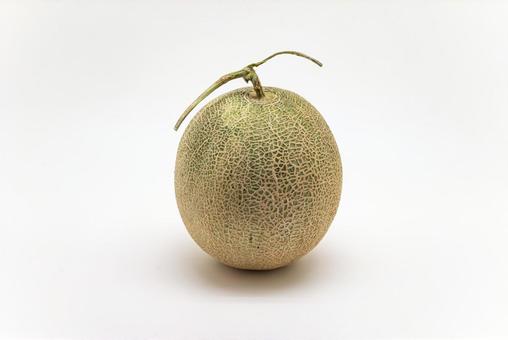 メロン1 メロン1の写真