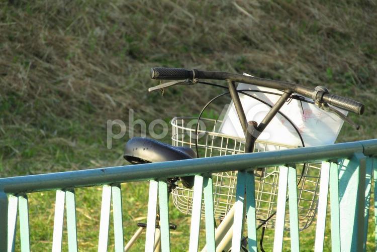 放置された自転車の後ろ姿 自転車,捨てられた,悲しいの写真素材