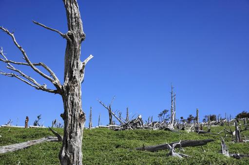 大台ケ原 正木峠  大台ケ原 正木峠  大台ヶ原,正木峠,枯れたの写真素材