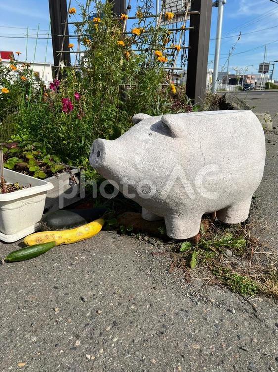 僕にも何か食べさせてほしいなぁ。 豚,トンカツ,石の写真素材