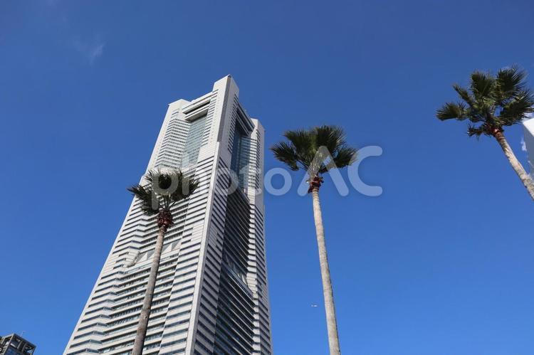 青空と椰子の木と超高層ビルを見上げた風景 青空,椰子の木,超高層ビルの写真素材