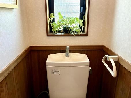 トイレに観葉植物 トイレ,タンク,お手洗いの写真素材