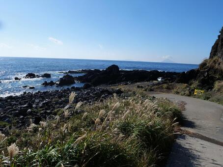 伊豆大島　トウシキ遊泳場 トウシキ遊泳場,伊豆大島,伊豆諸島の写真素材