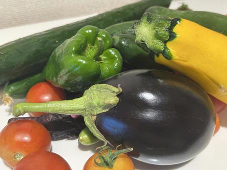 彩り野菜 彩り野菜の写真