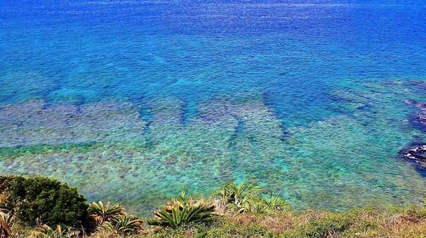 慶良間諸島嘉比島から見た海岸 慶良間諸島嘉比島から見た海岸 嘉比島,海,海岸の写真素材