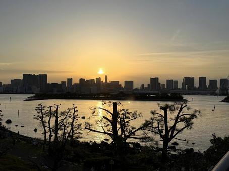 夕暮れのお台場から見た東京の景色 東京,お台場,東京湾の写真素材