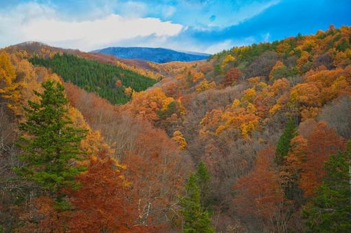 裏磐梯の秋 紅葉,秋,裏磐梯の写真素材