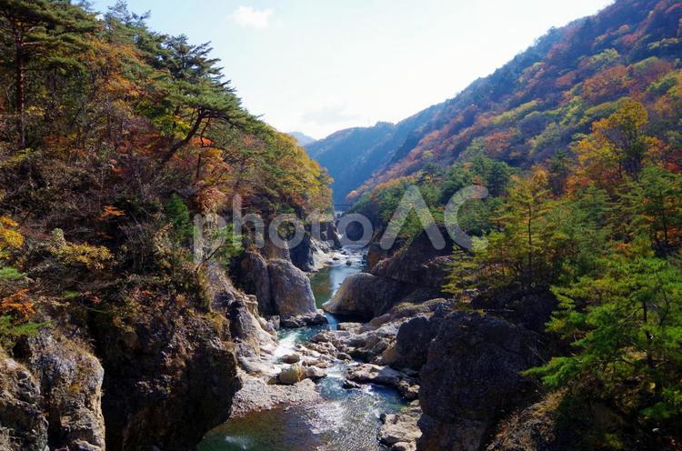 栃木県　龍王峡　むささび橋より虹見橋の眺め（鬼怒川方面） 龍王峡,紅葉,秋の写真素材