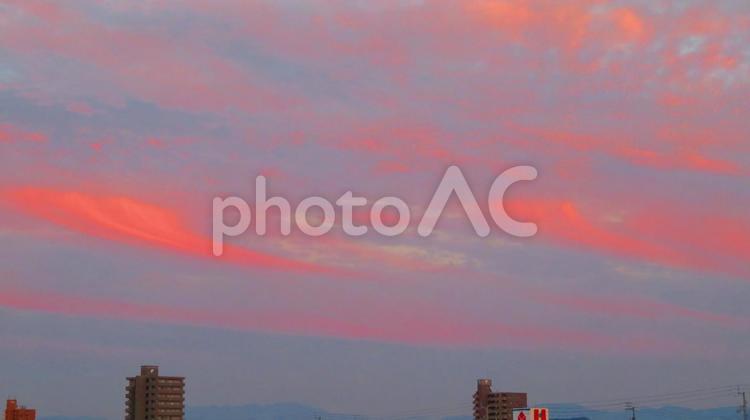 ６月下旬の野田池の夕焼け 背景,夕焼け,黄昏の写真素材