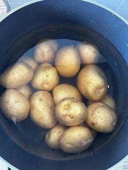 Photo, potato, boil, a lot of, 