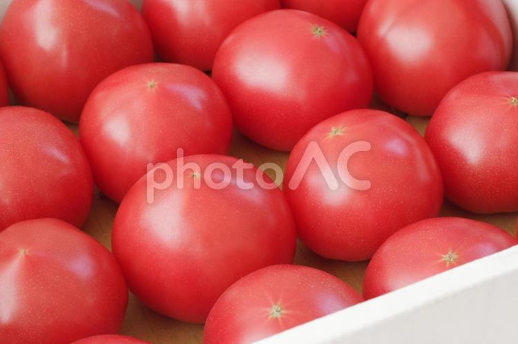 段ボール箱に入ったトマトのアップ トマト,野菜,食材の写真素材
