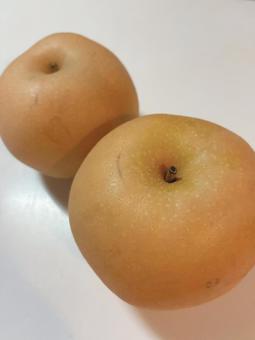 梨 梨,なし,果物の写真素材