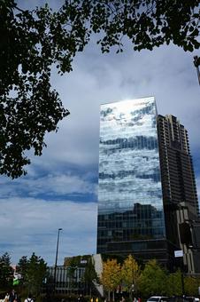 秋の晴れの日の写真