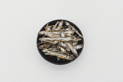 田作り（ごまめ）と白背景 田作り,ごまめ,煮干しの写真素材