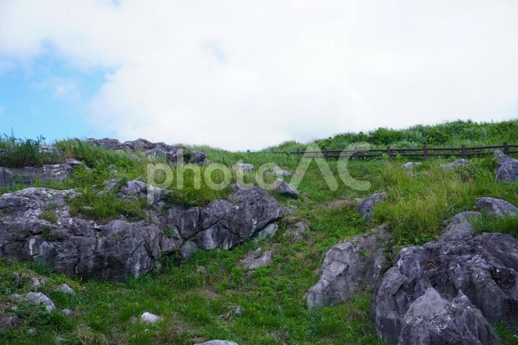 北九州　平尾台の風景 自然,平尾台,風景の写真素材
