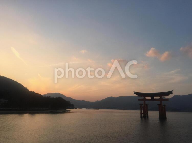 広島　厳島神社の鳥居と夕暮れの空 広島,厳島,鳥居の写真素材