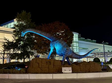 ブルーにライトアップされる福井 ブルーライト,イルミネーション,晩秋の写真素材