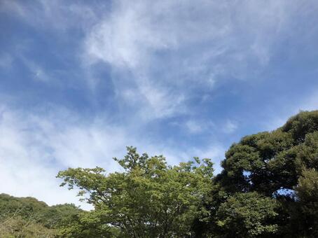 空 空の写真