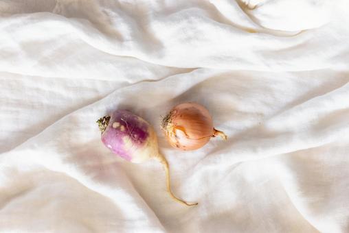 布の上に置かれたカブと玉ネギ 布の上に置かれたカブと玉ネギの写真