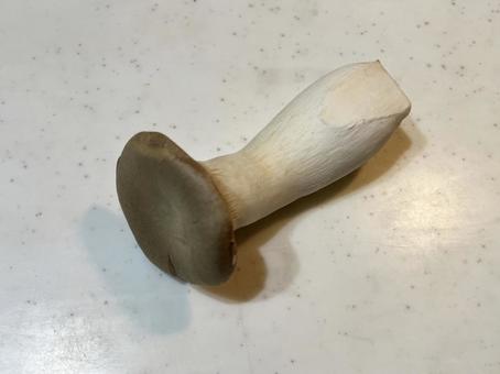 King oyster mushrooms, JPG