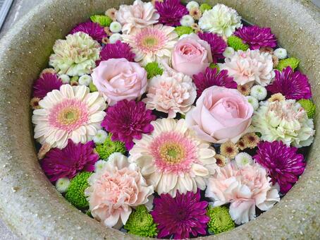 色鮮やかな花手水45 花手水,はなちょうず,手水舎の写真素材