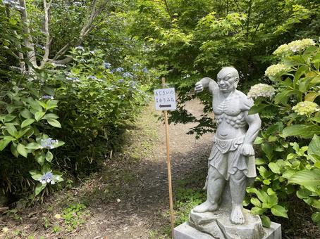 仁王像 仁王像の写真