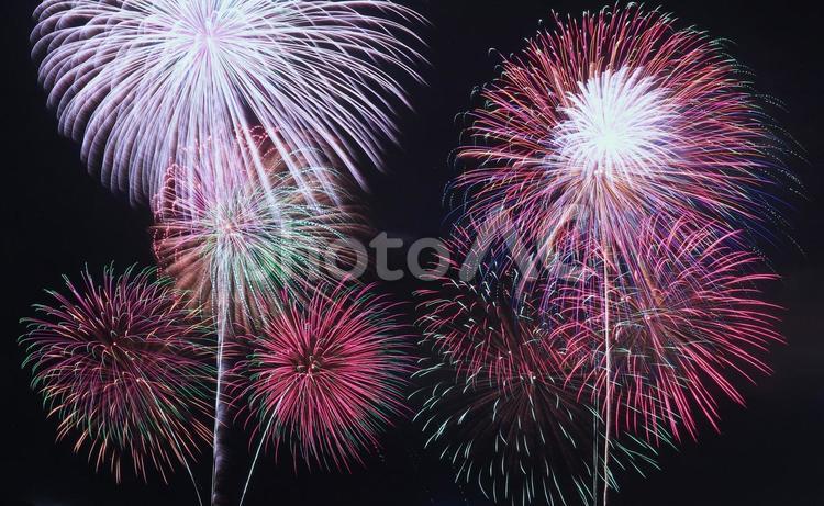 背景素材/打ち上げ花火 打ち上げ花火,背景素材,花火の写真素材