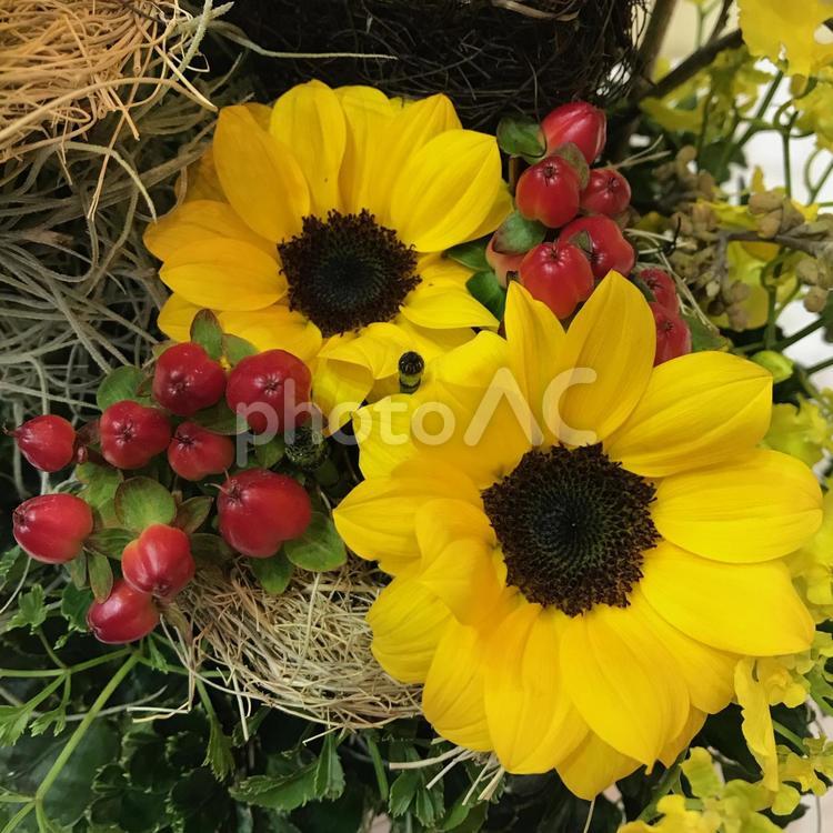 フラワーアレンジメント フラワーアレンジメント ひまわり,ヒペリカム,フラワーアレンジメントの写真素材