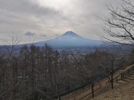 箱根から見た富士山 箱根から見た富士山の写真