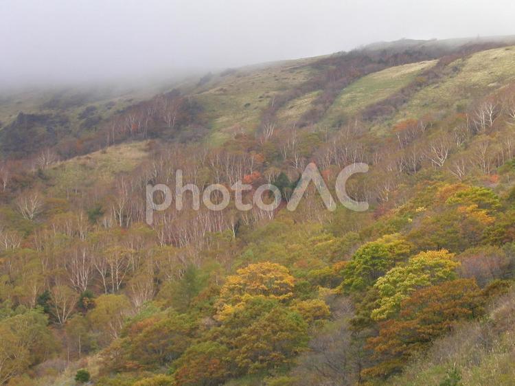 長野　松本　美ヶ原 美ヶ原,観光地,日本百名山の写真素材