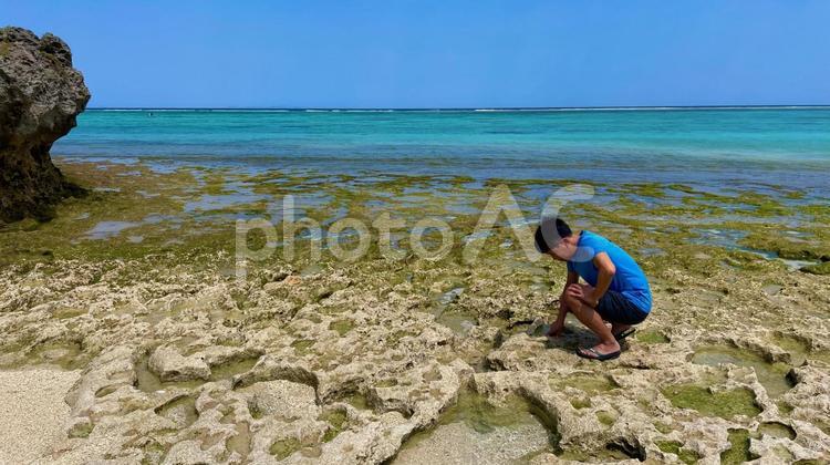 岩場で獲物を探す男性 ビーチ,波,沖縄の写真素材