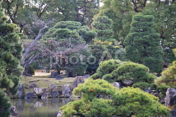 世界遺産・元離宮二条城 京都,二条城,城の写真素材
