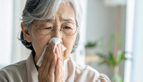 ティッシュで鼻をかむ日本人のシニア女性 ティッシュで鼻をかむ日本人のシニア女性の写真